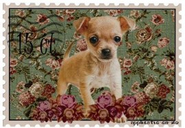 Strijkapplicatie postzegel Chihuahua